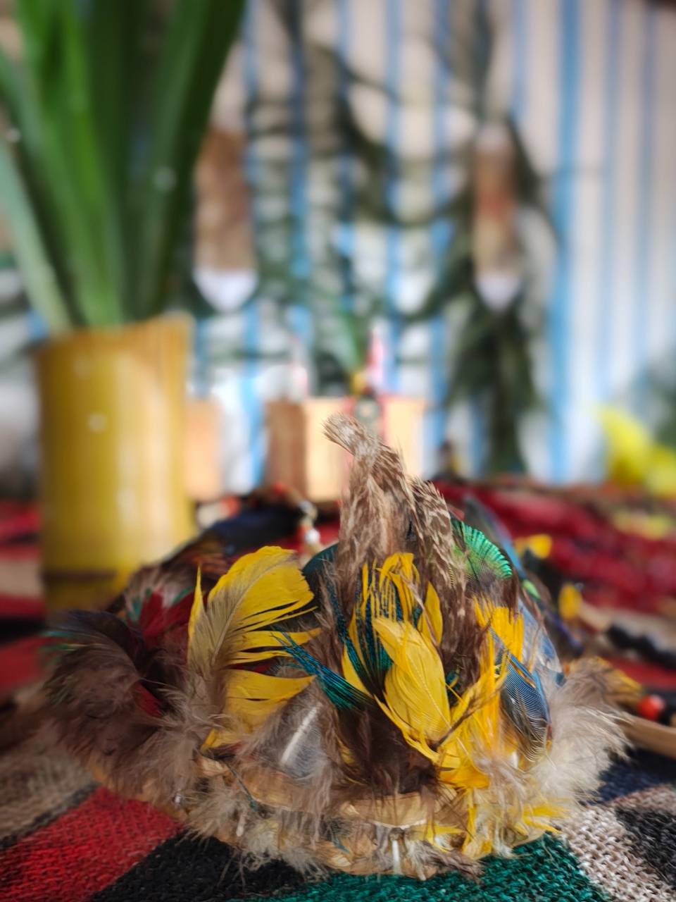 Aldeia Água Branca18