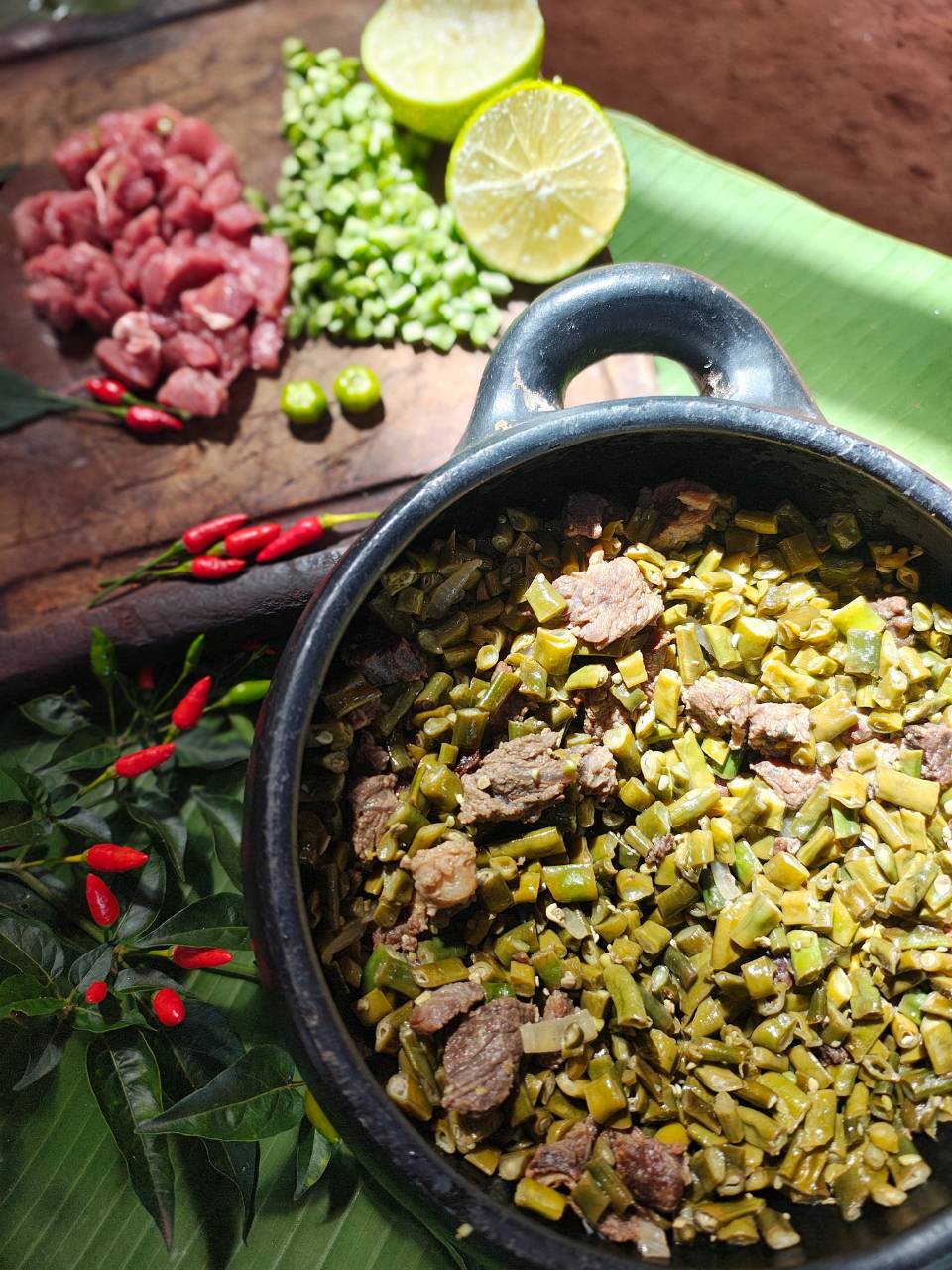 Aldeia Água Branca7